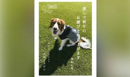 大谷翔平發賀年卡！愛犬賣萌吐舌頭　郵遞區號「017-0017」