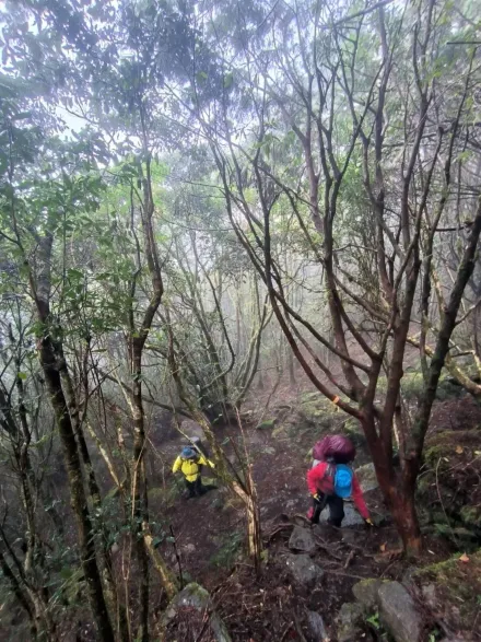 51歲女揪團爬卑南主山「高山症發作」　遭7同伴丟包