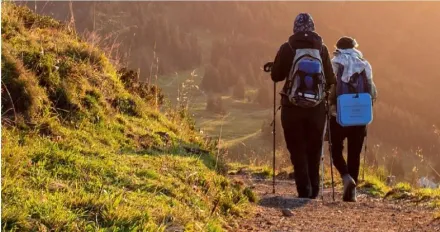 51歲女遭丟包3千公尺高山！律師曝7同行者恐觸法　資深山友吐真相