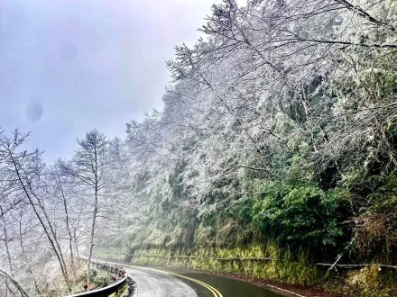 絕美！宜蘭太平山莊凌晨0°C下冰霰　一片雪白如仙境