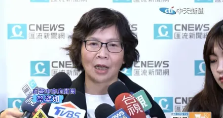 蔡壁如壓線登記參選黨主席！江和樹傻眼：來拔管滅黨？