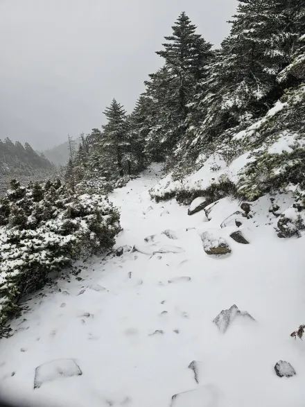 影/雪山飄瑞雪！雪霸處逗趣傳授高山禦寒5要訣