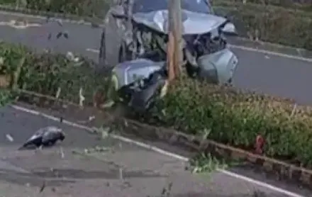 影/高雄鳳山慘烈事故！CRV衝分隔島撞路樹「整輛毀一半」