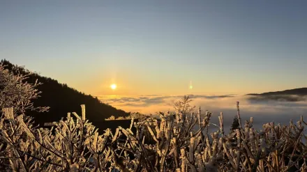 影/宜蘭太平山-1度賞「日照霧淞浮雲海」　晶瑩美景曝光