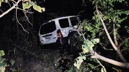 高雄男約好友釣魚遇死劫！　駕車返程突不適摔山坡斷魂