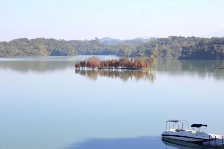 春節踏青來點不一樣！烏山頭水庫賞落羽松「9天不打烊」