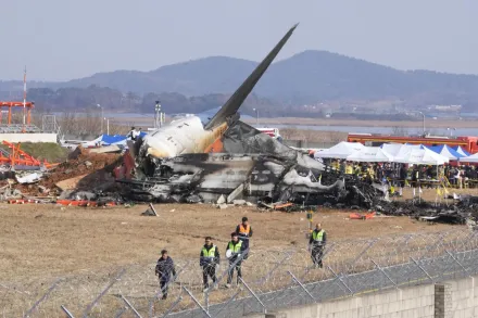 濟航空難初步報告出爐！引擎附著鳥血　黑盒子墜毀前停止紀錄