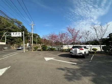 一車兩屍！　台中景點停車場見「男+法鬥」關車內氣絕亡