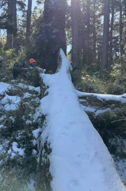 雪中搜救第4天！新竹大霸尖山53歲婦攻頂失聯　發現她背包