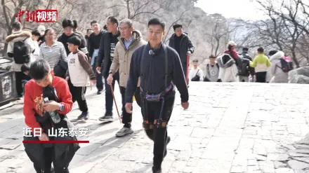 影/體力不夠？泰山推登山助力機器人　遊客讚：不再虛累累