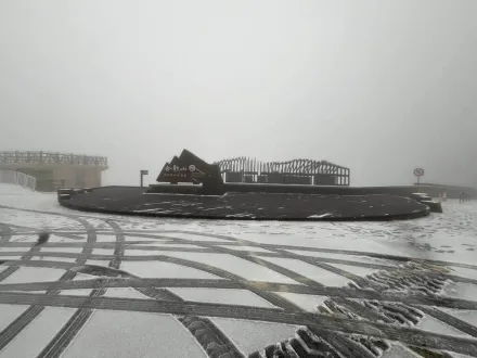 合歡山整夜降雪　台14甲線鳶峰至大禹嶺須掛雪鏈