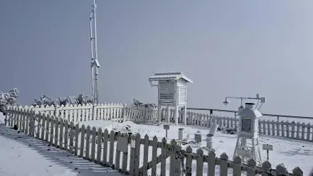 影/玉山降雪了！積雪1公分　銀白美景夢幻登場