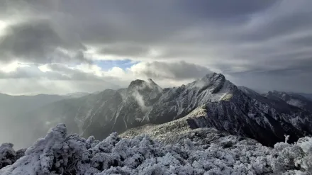 寒流加持積雪未融化！　玉山主峰變「白雪世界」