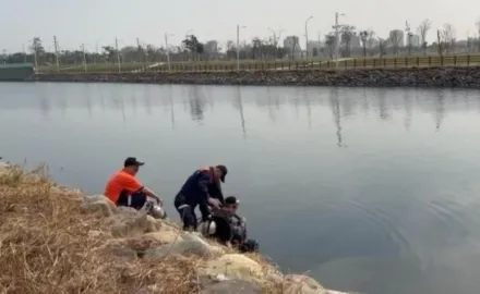 高雄分屍案！否認殺人肢解遺體　嫌犯家中血跡比對是死者的