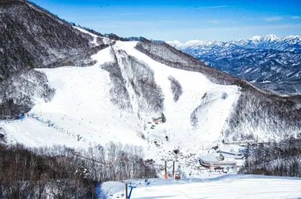 長野滑雪場驚傳意外！陸男落單失蹤　山林雪堆中尋獲屍體