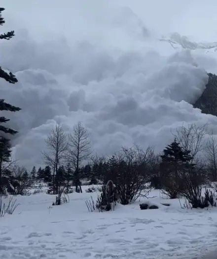 影/驚險瞬間！雲南雪崩「白色巨浪吞沒人群」　遊客尖叫奔逃