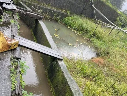 金山61歲翁陳屍排水溝！脖子有瘀傷　警判「無外力介入」