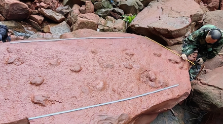10歲童河邊玩耍發現疑似「恐龍腳印」　專家到場一驗竟真是「足跡化石」