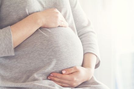 孕婦懷胎5月在外租房　遭房東以「借死不借生」為由強制解約