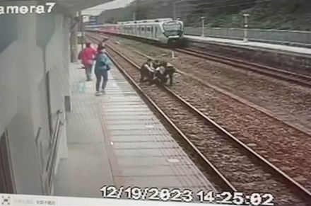 恐怖一瞬！苗栗男侵入台鐵軌道「列車煞停」　警民合力拖離