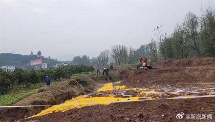 大陸重慶「柑橘坑」散發有毒氣體　村民集體暈倒送醫3人死亡