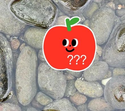 金山中角灣水中撿到「一片蘋果」！　相似度超高...網驚呼：快收藏