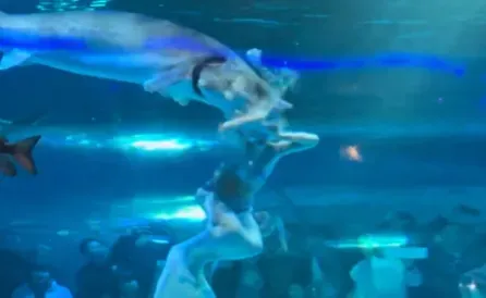 大陸雲南,一名俄羅斯籍美人魚表演者在水族箱內演出時,突遭大型魚類襲擊,整顆頭部瞬間被咬住。(圖/翻攝自微博)