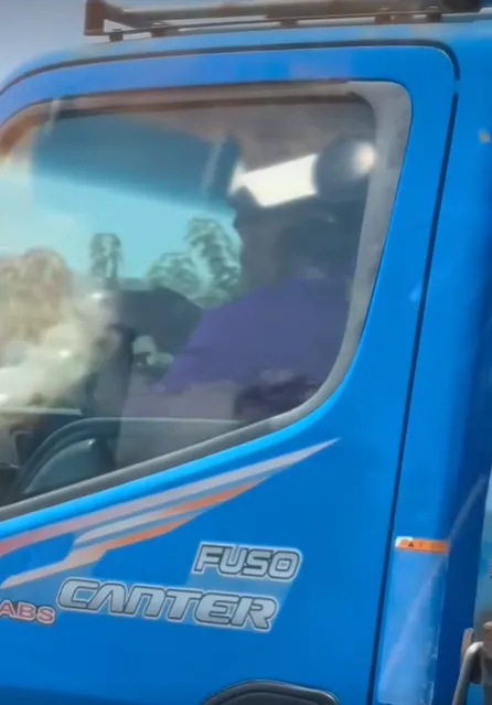 國道貨車司機邊開車邊玩手機。（圖／翻攝自臉書爆料公社）