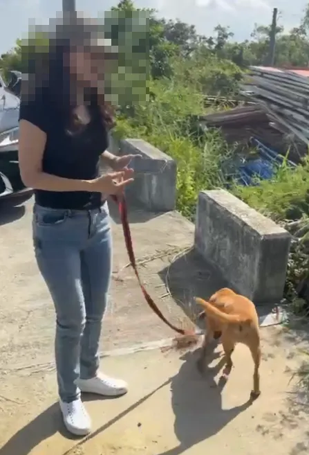 飼主吳小姐找回陪伴自己多年的愛寵阿妹，難掩激動的心情。（圖／翻攝畫面）