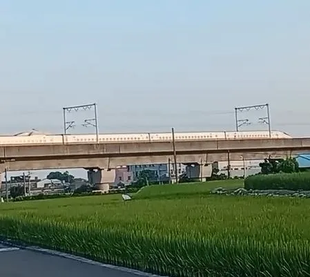 車上的旅客形容車速「慢到可以玩皮克敏種花」。（圖／翻攝_super_water的Threads，經授權提供）