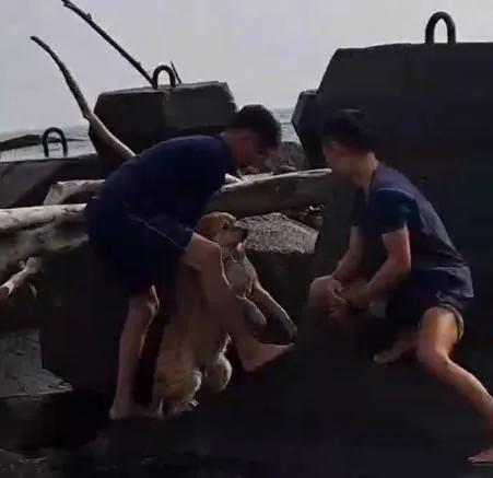 崎峰岸巡安檢所2名人員救援狗狗。（圖／陳薇安小姐提供）
