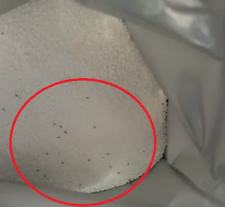 有民眾在新買的過碳酸鈉粉末產品內發現一堆黑色小蟲出沒。（圖／翻攝自Facebook@爆料公社）