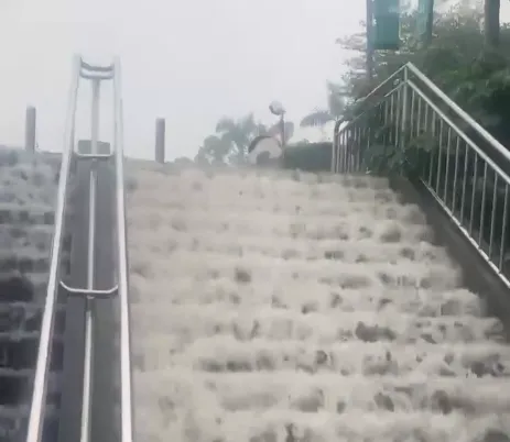 淡江大學學生20日一早在校園目擊樓梯被大雨沖成小瀑布。（圖／Threads@_.ya_cos授權提供）