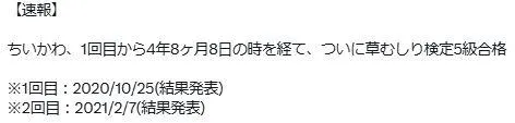 網友留言吉伊卡哇歷年除草證考試經歷，歷時四年網友直呼感動。（圖／翻攝自Ｘ）