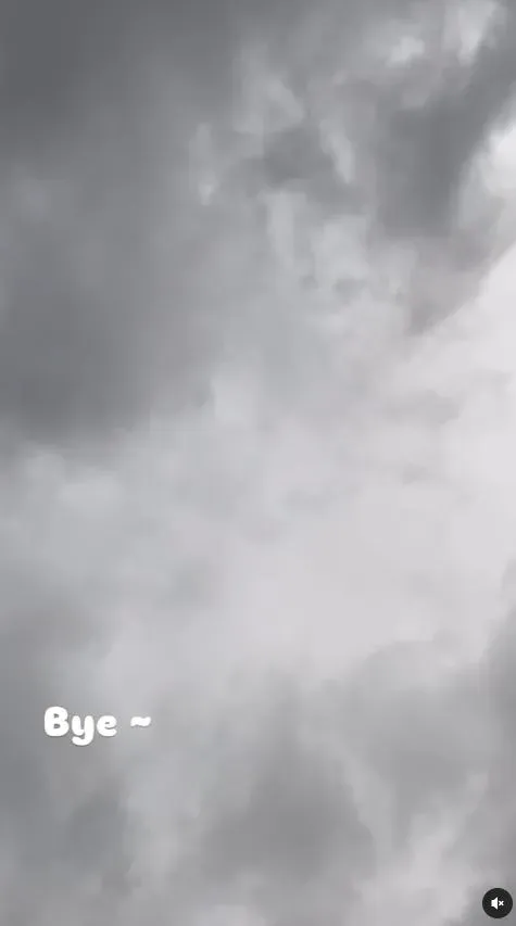 李國祥才發文說「BYE」。（圖／IG 李國祥)