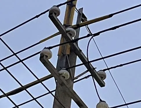 台電今(26)日傍晚發生停電事故,起因為鳥類碰觸高壓線路造成斷線,影響台中市潭子區、大雅區及神岡區等三區共計521戶用電。(圖/台電提供)