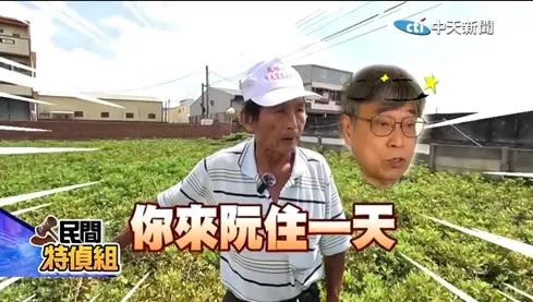 雲林花生農78歲陳安邦要農業部長來田裡採收兩叢看看,不要只在辦公室吹冷氣,不知民間疾苦(攝自民間特偵組)