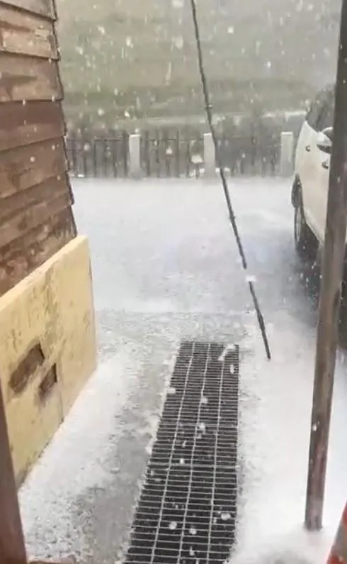 今天下午1時前後當地突然暴雨，10分鐘後瘋狂掉落大小不一的冰雹。（圖／林業保育署南投分署提供）