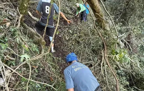 玉山國家公園八通關越嶺西段9.8公里處，發現大量樹木傾倒阻斷步道通行。（圖／翻攝自臉書／玉山國家公園）