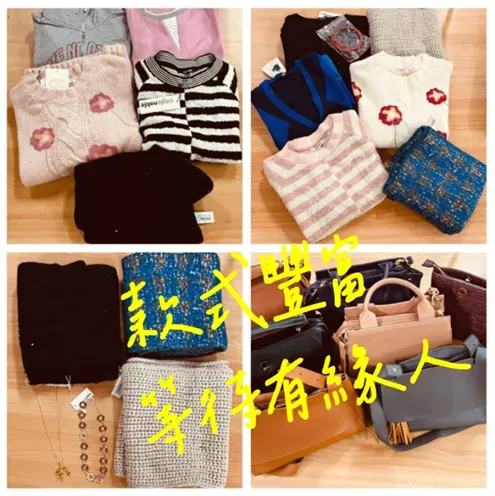 女裝品牌「獨身貴族」因積欠保費近200萬元,法務部行政執行署士林分署3月4日起將多波拍賣共275件商品。(圖/翻攝自法務部行政執行署士林分署官網)