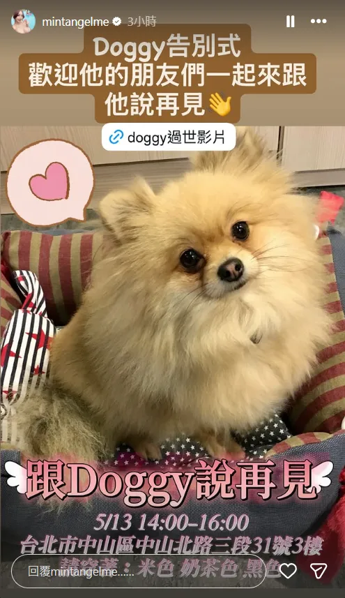 李宓13日表示將為愛犬舉辦告別式。（圖／翻攝自李宓IG）