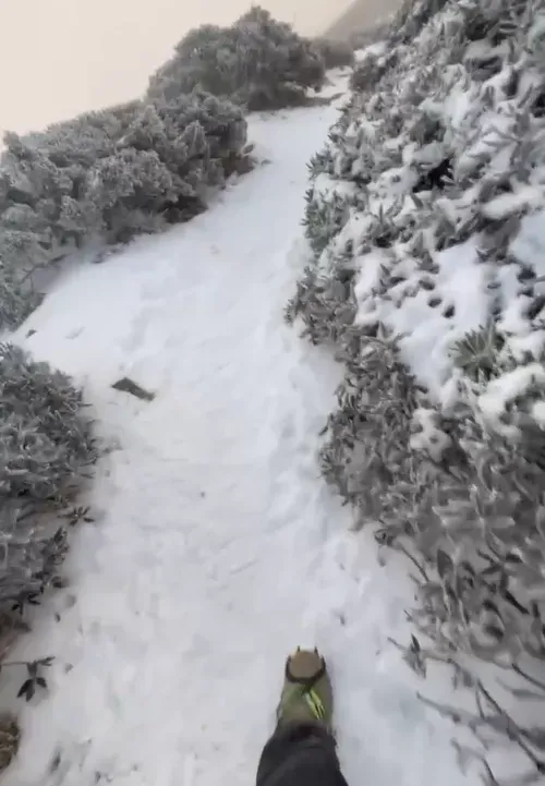 雪霸國家公園高山雪景。（圖／山友鄭莛瑞提供）