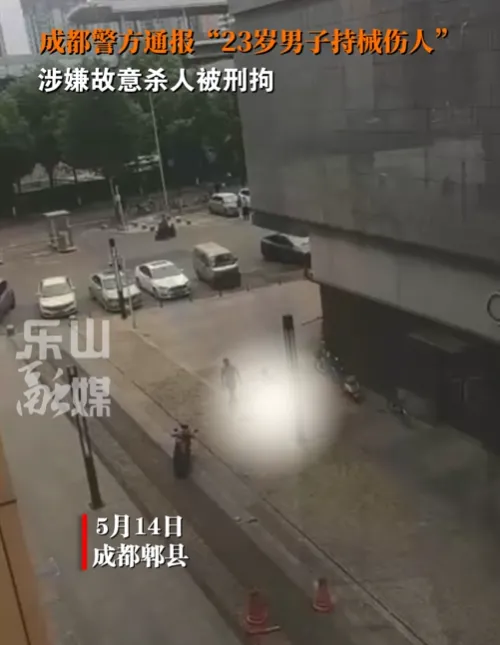 成都郫都區(郫縣)街頭14日發生傷人案。(圖/翻攝抖音)