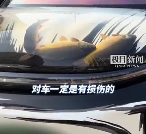 男子強調只是想拍影片分享趣事，這樣的做法並不安全，呼籲其他人不要模仿。（圖／翻攝微博@極目新聞）