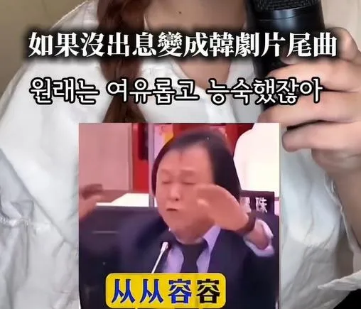 網友創作《沒出息》韓語版。(圖/翻攝張幃weiiii__0519的IG，經授權使用)