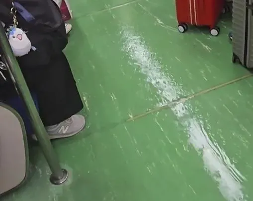 台鐵一列區間車廁所馬桶溢水,導致車廂內淹水。(圖/翻攝自levailin0712threads)
