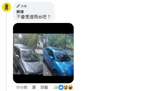 廖錦德曬楊小姐自用車輛，直指她盜刷繳牌照稅。（圖／翻攝自廖錦德臉書）