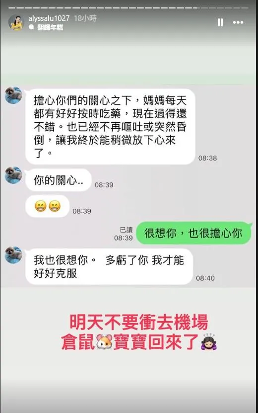 對話內容。(圖/翻攝alyssalu1027 IG限時動態)