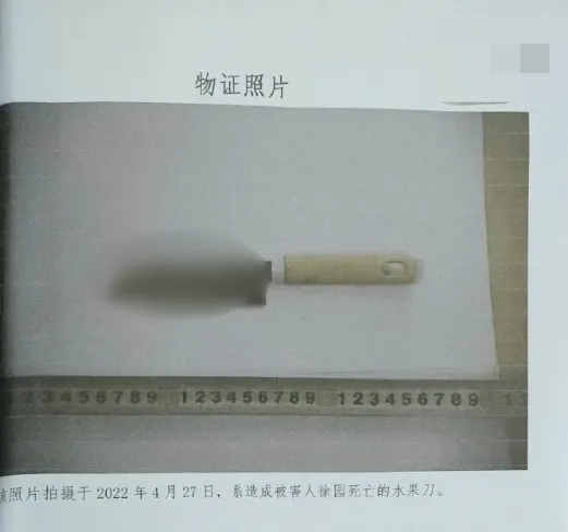 死者胞姊徐女對判決結果難以接受，在社群媒體上提出重重疑點。（圖／翻攝微博「徐園的姐姐」）
