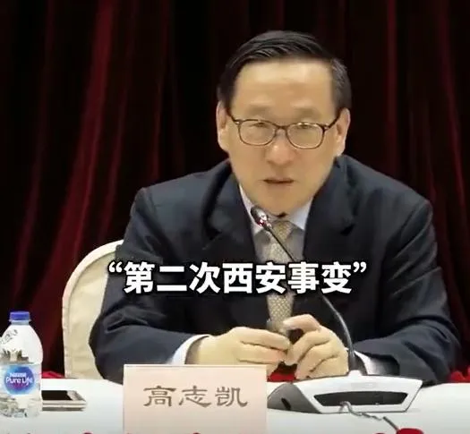 大陸學者高志凱。（圖/翻攝新浪微博）